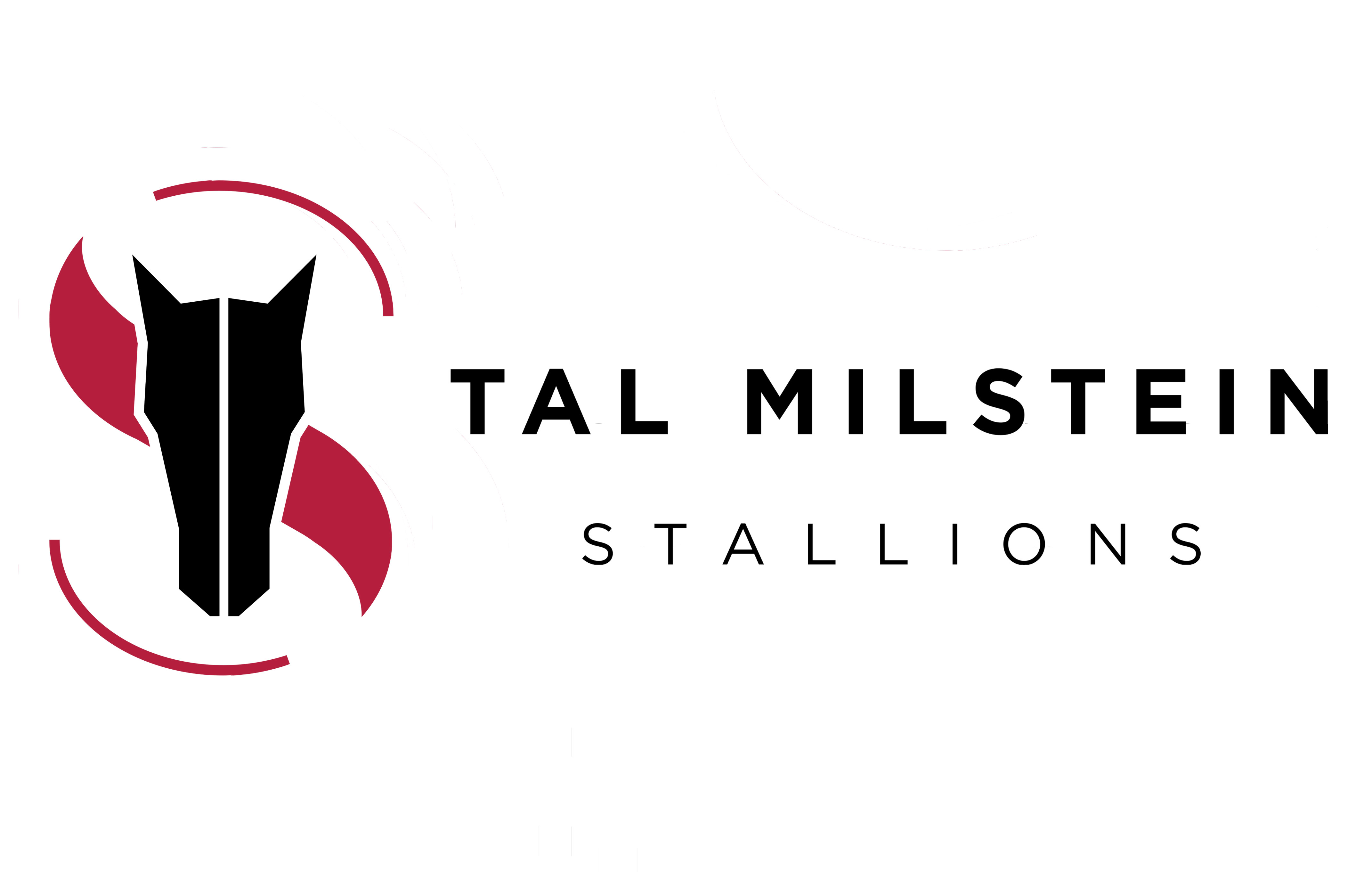 Tal milstein stallions